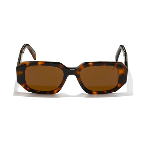 Artemis Brown Tortoise Sunglasses The Gold Gods