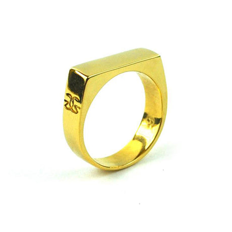 Womens Gold Bar Ring The Gold Goddess